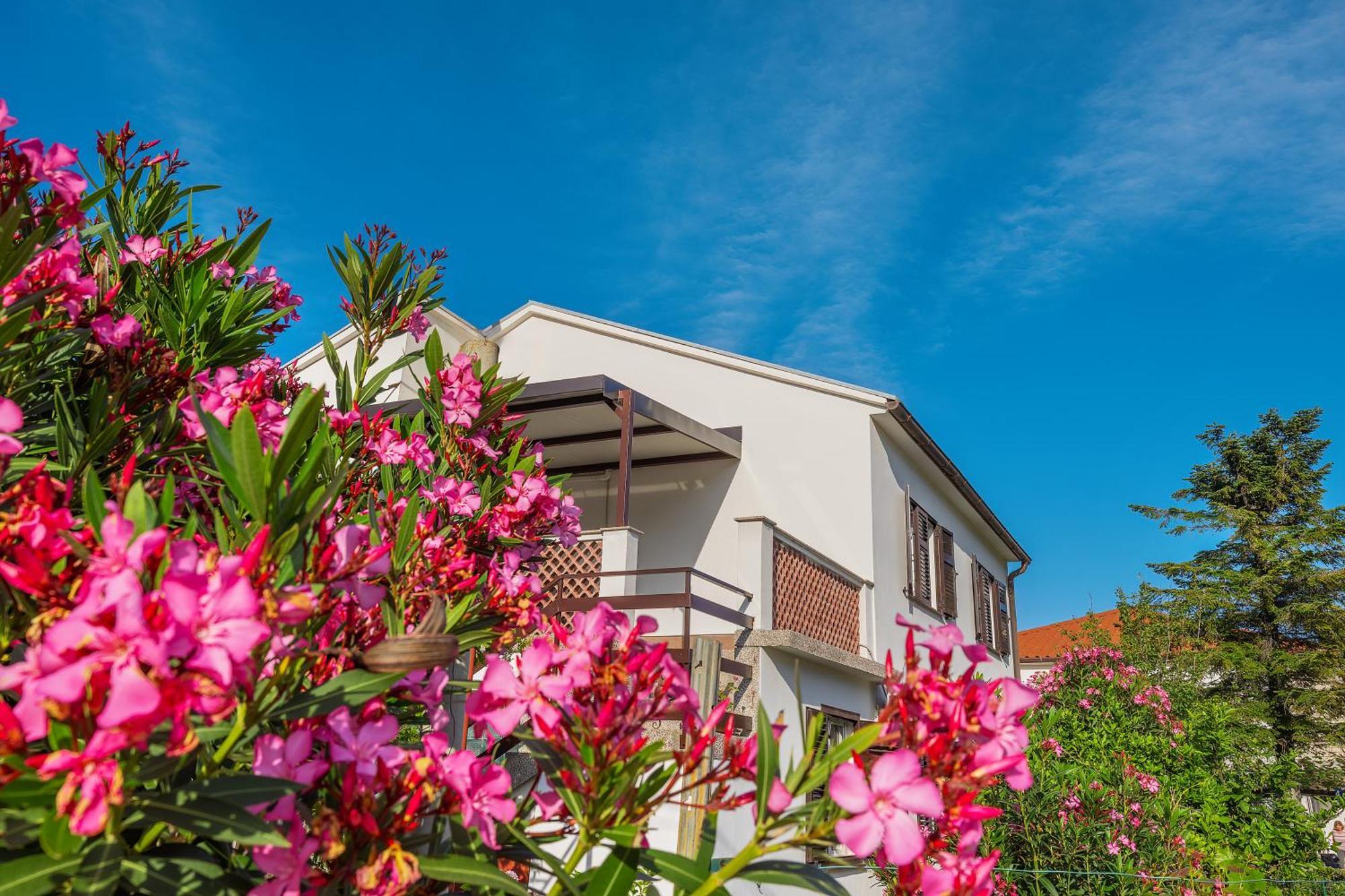 Apartment Vinka Baška Buitenkant foto